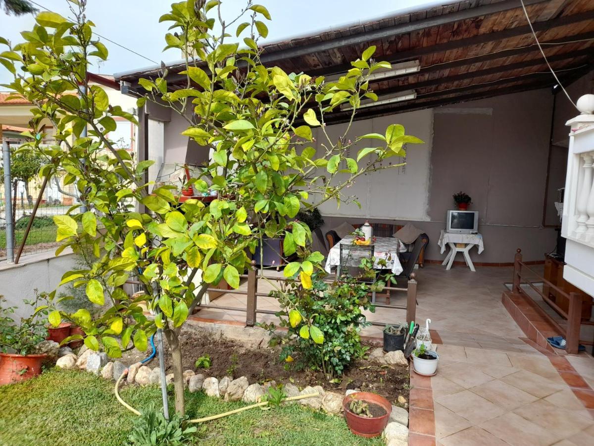 Villa Vangelis Nea Plagia Exteriör bild